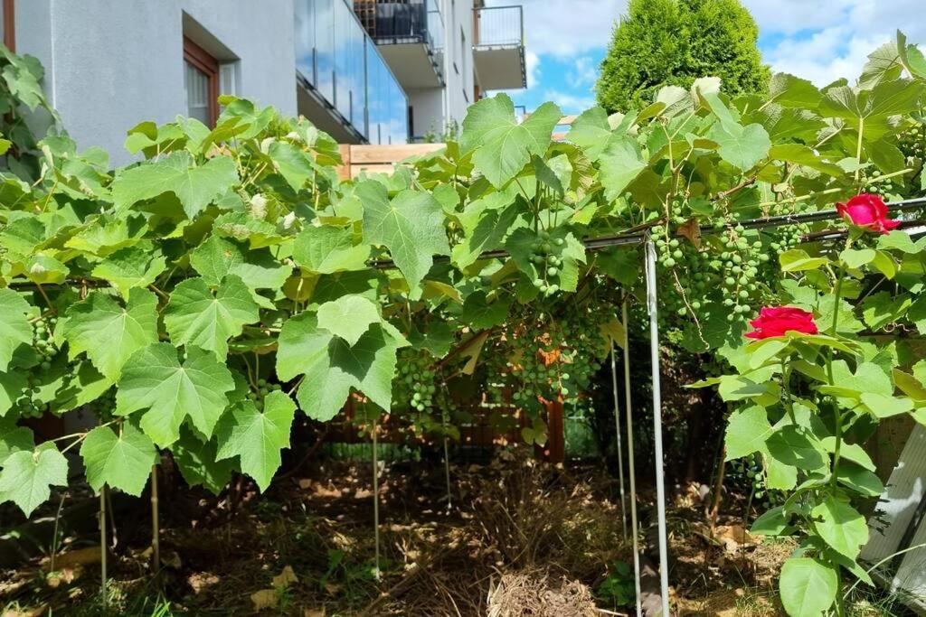 Luxury Garden Apartment Varsovie Extérieur photo